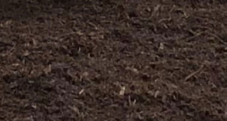 Brown Mulch Natural Mix