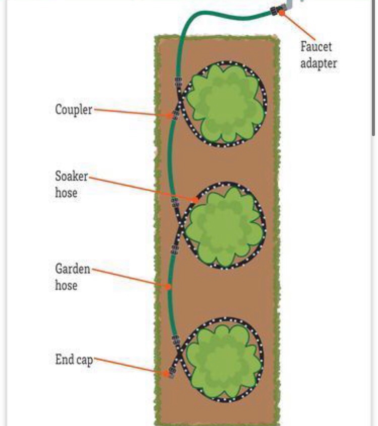 Drip Irrigation project photo 01