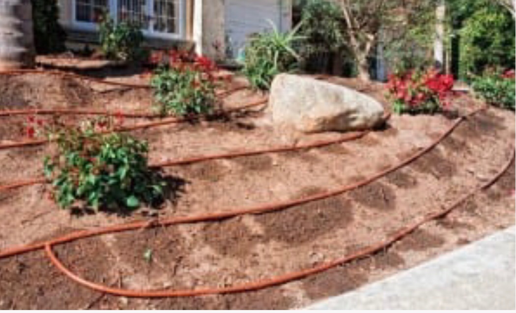 Drip Irrigation project photo 02