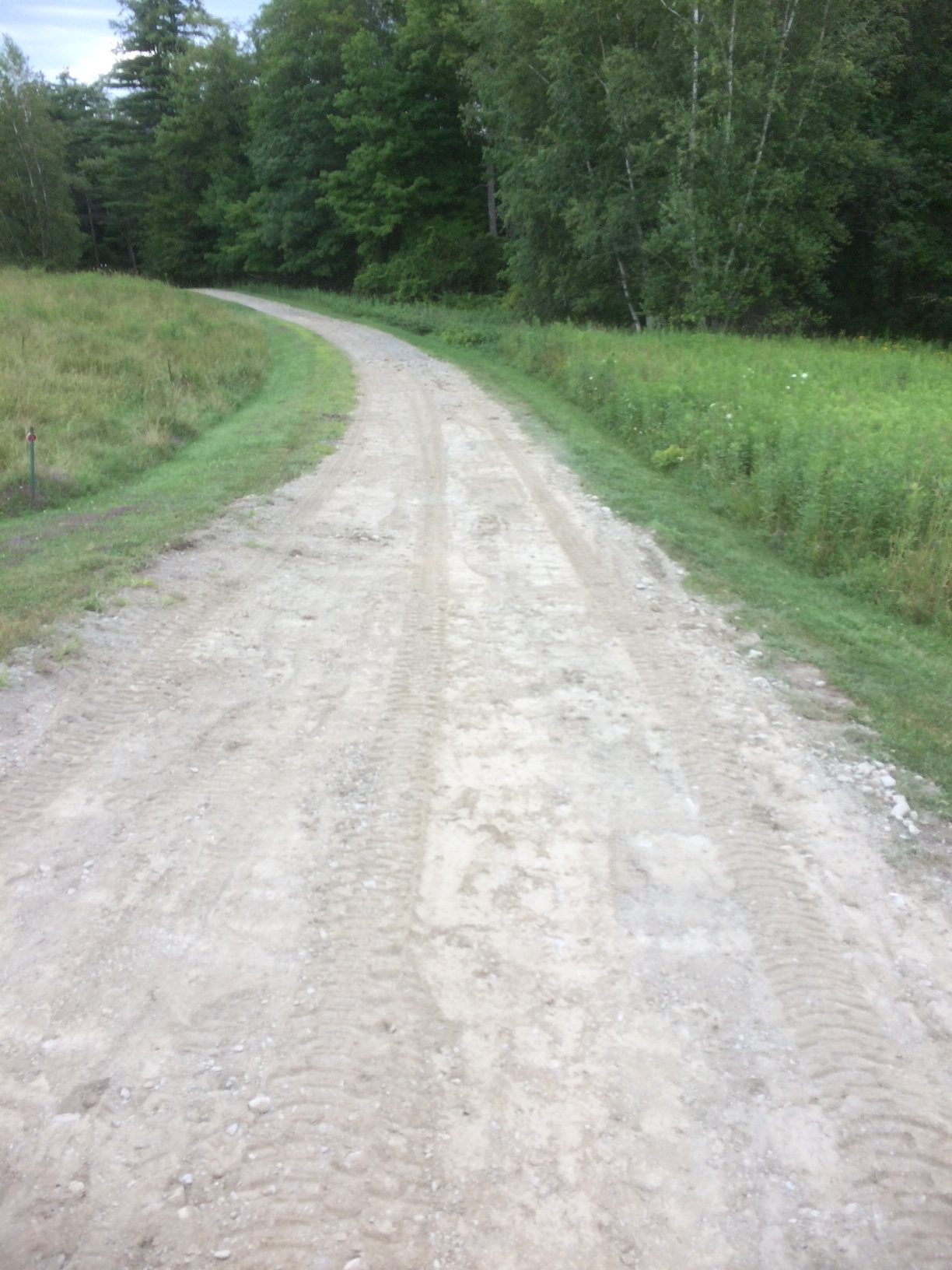 Driveway Repair project photo 13