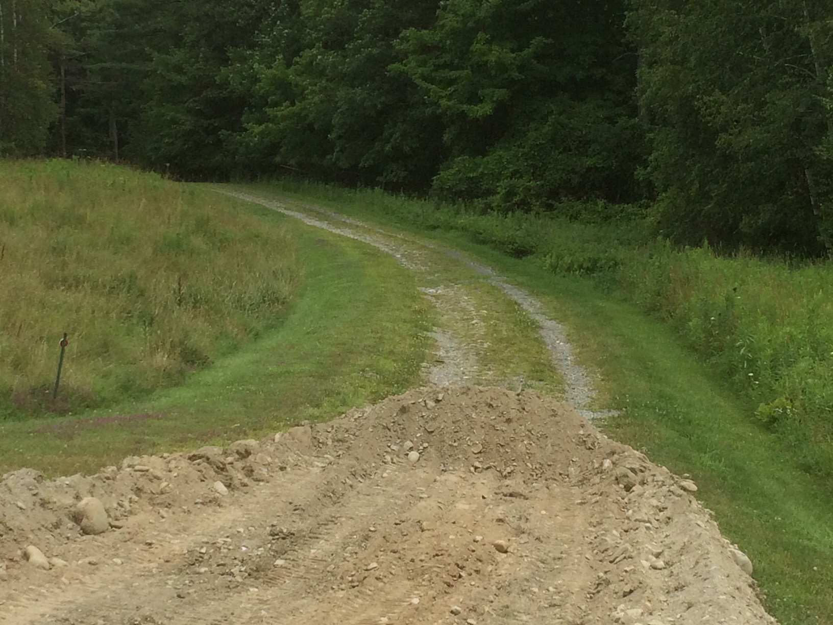 Driveway Repair project photo 14