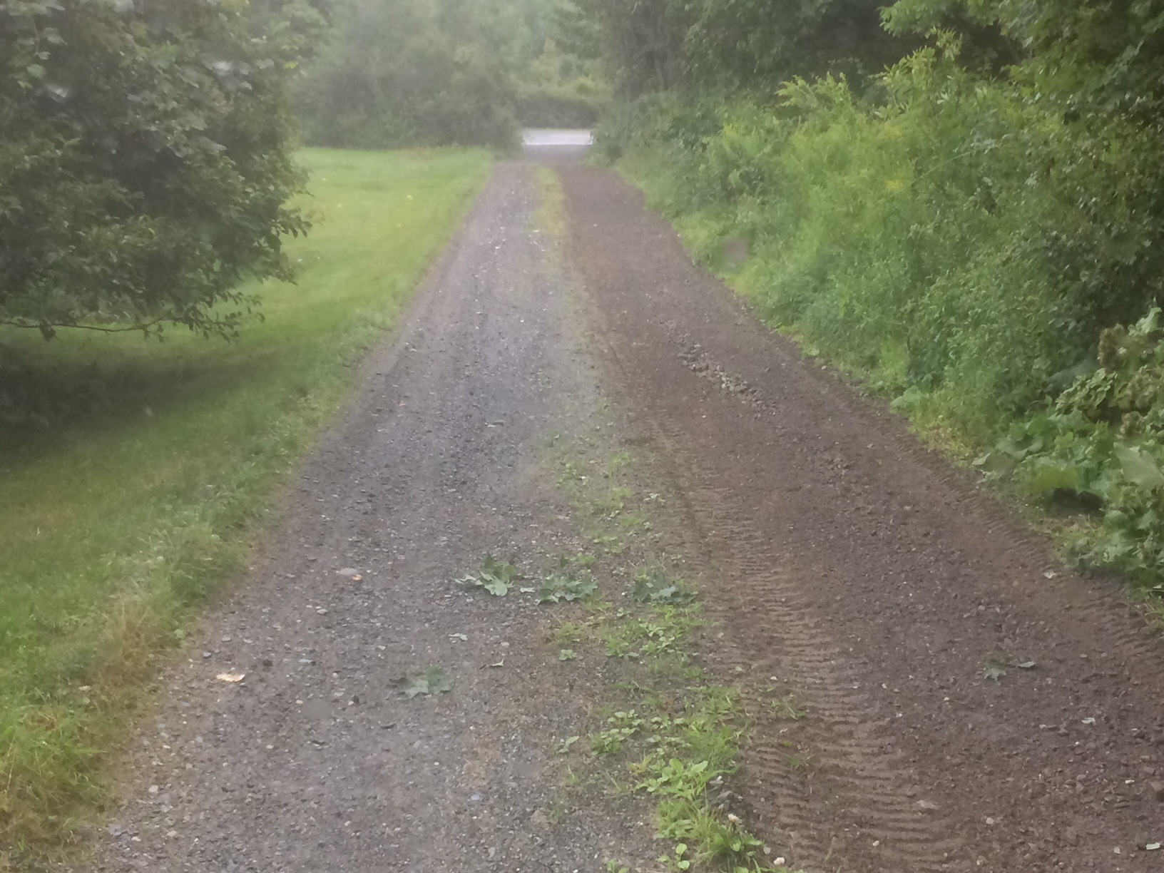 Driveway Repair project photo 16