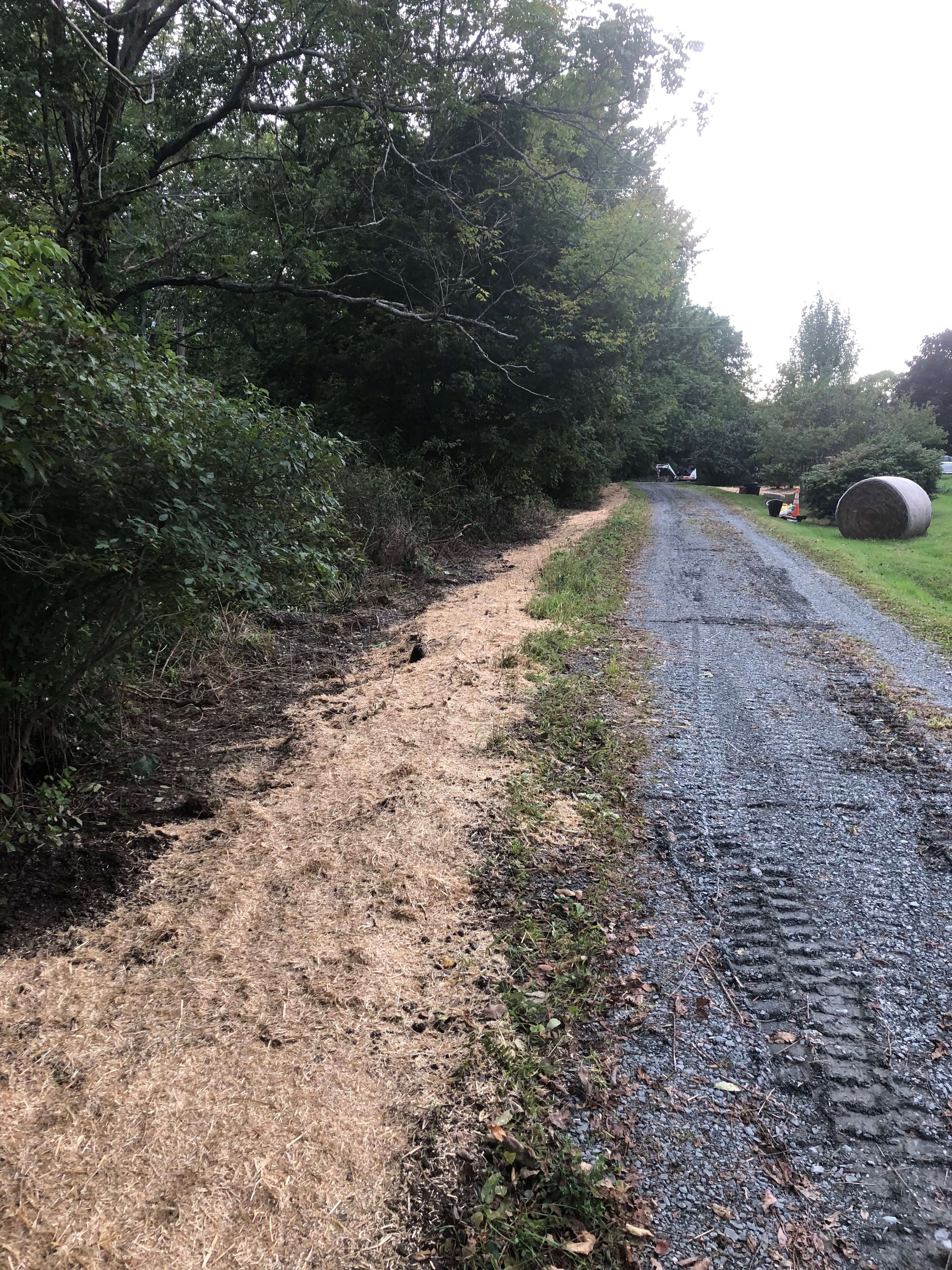 Grading & Drainage project photo 13