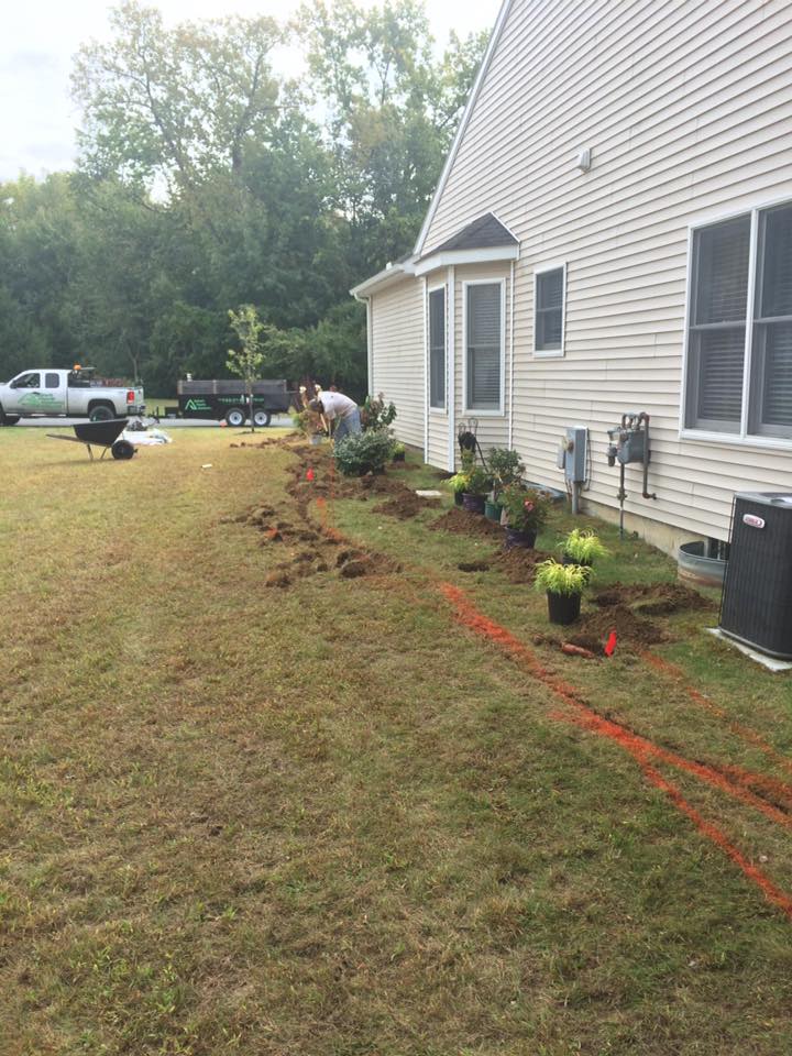 Landscape Design project photo 16