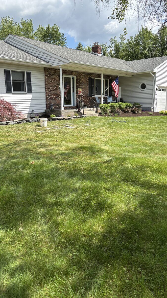 Landscaping project photo 01