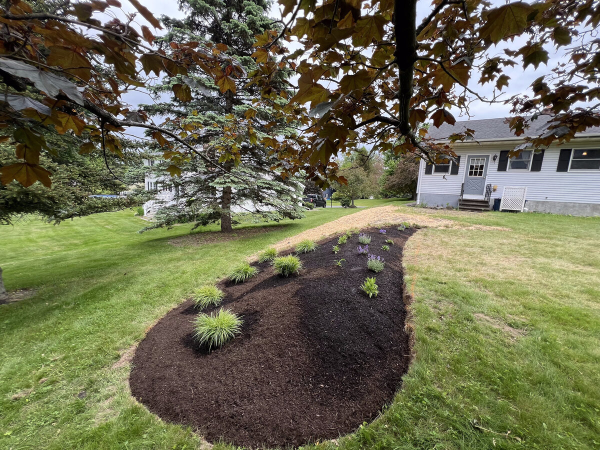 Landscaping project photo 03