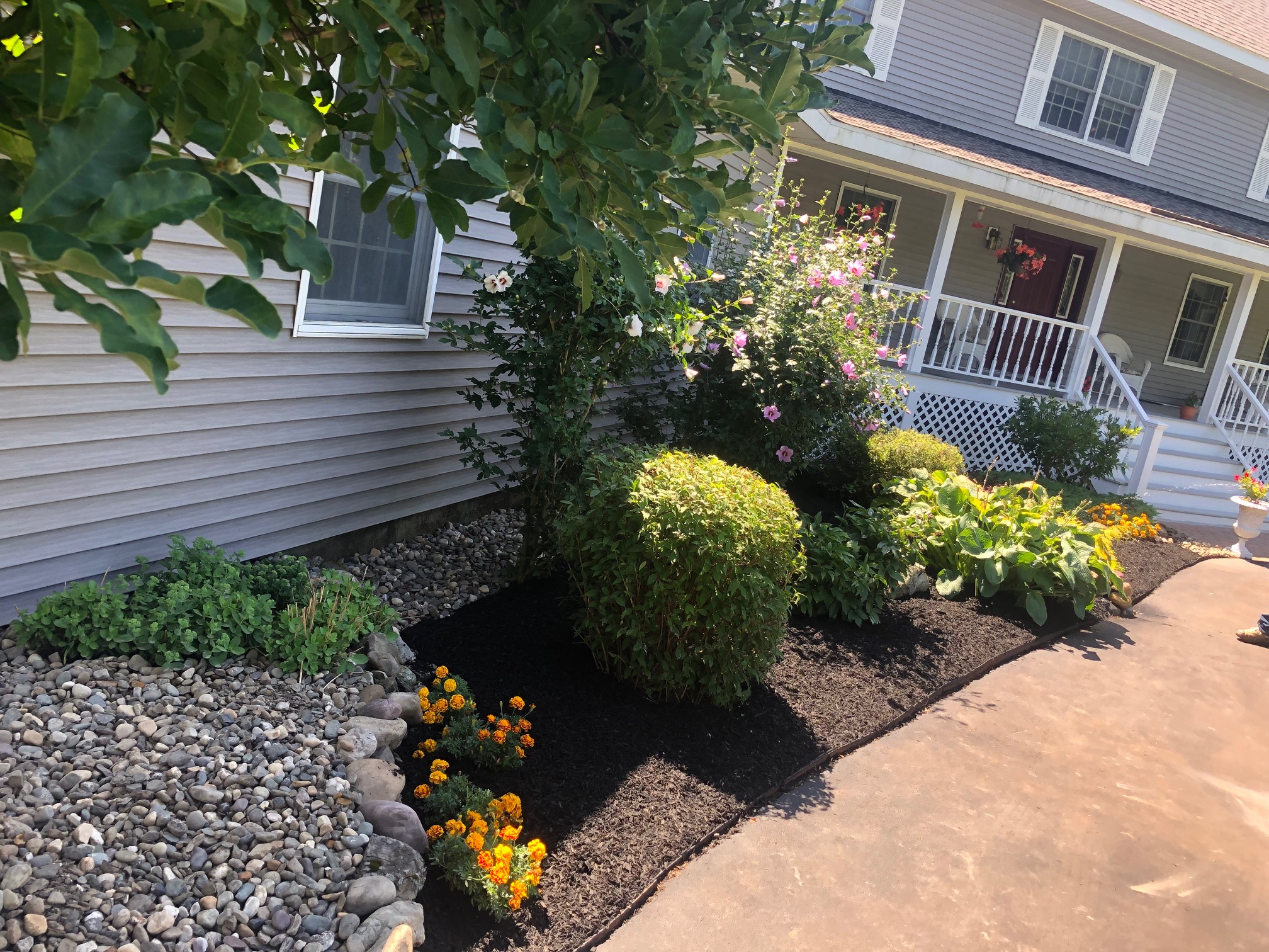 Landscaping project photo 15