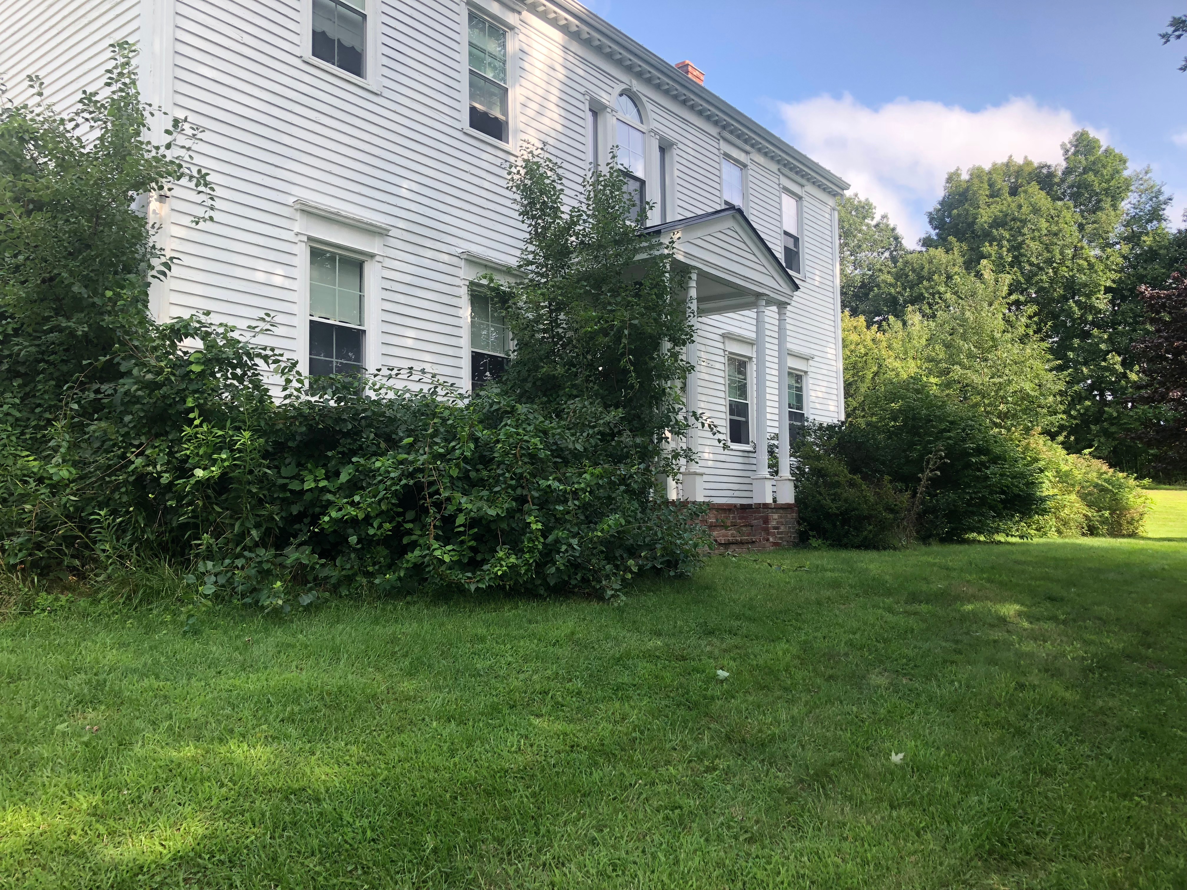 Landscaping project photo 24