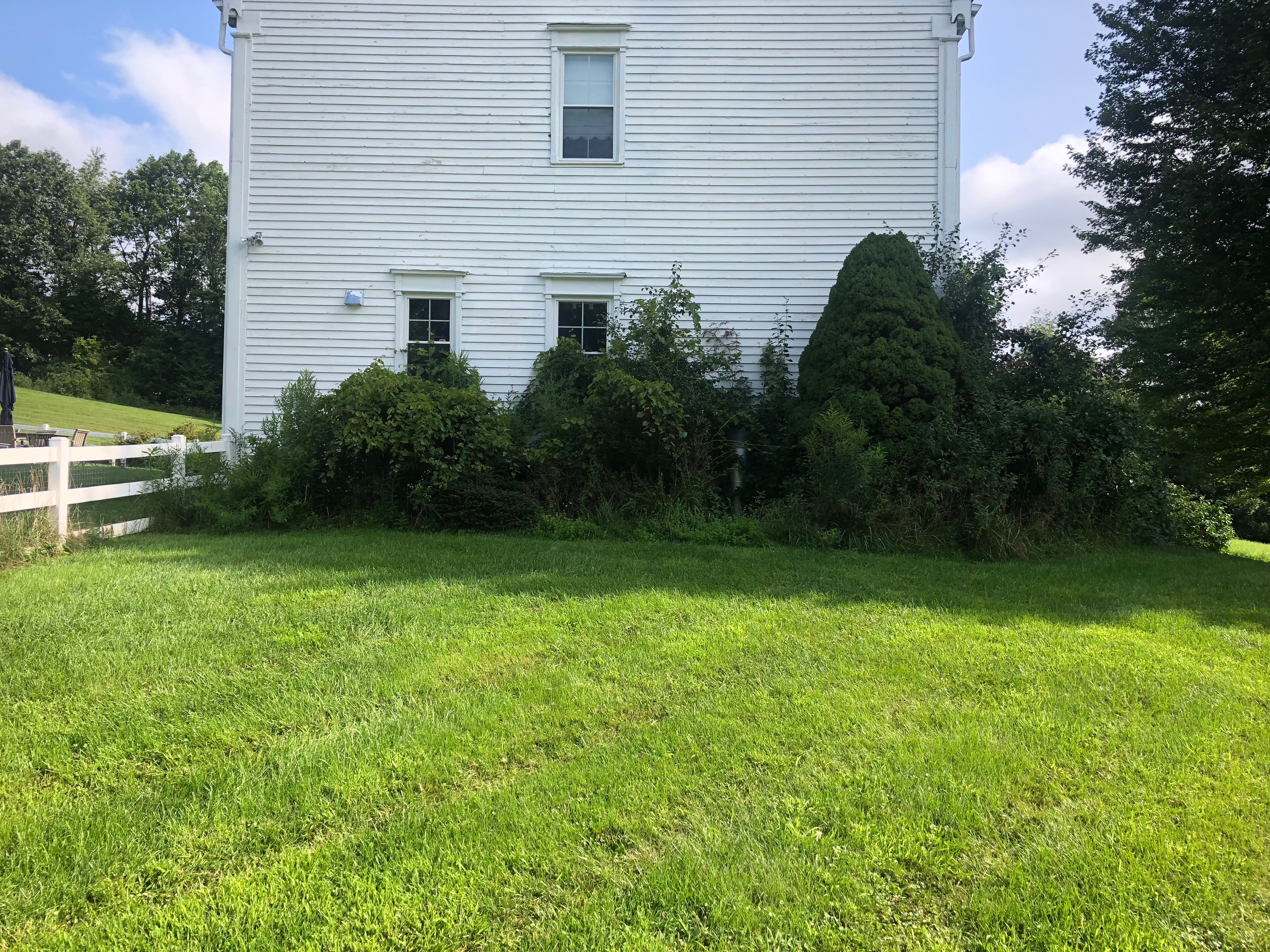 Landscaping project photo 25