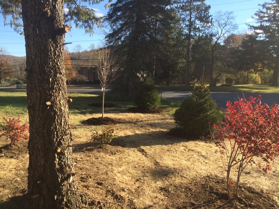 Landscaping project photo 39