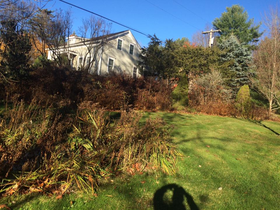 Landscaping project photo 44