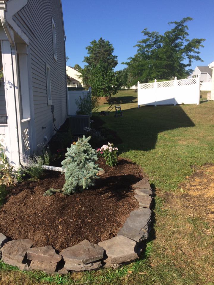 Landscaping project photo 46