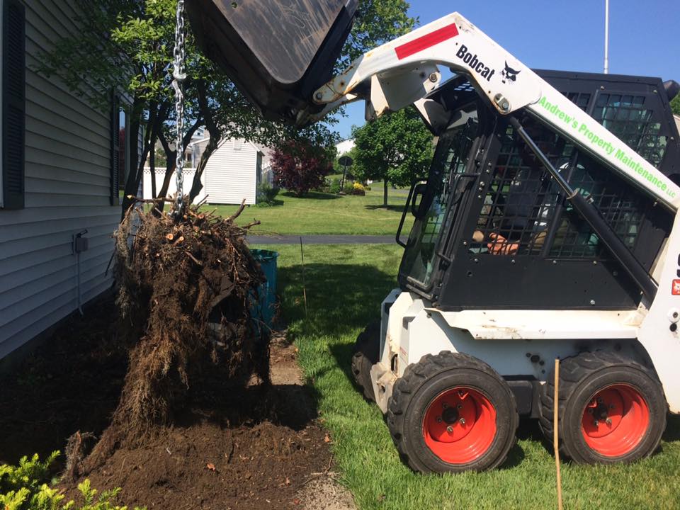 Landscaping project photo 54