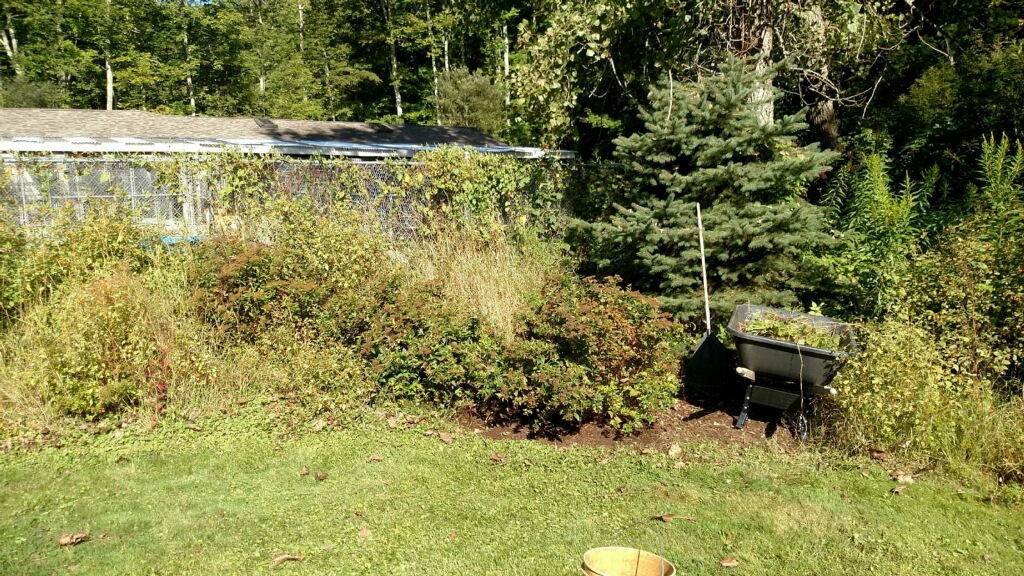 Landscaping project photo 60