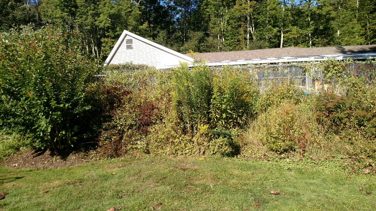 Landscaping project photo 61