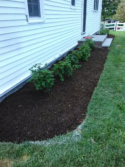 Landscaping project photo 64
