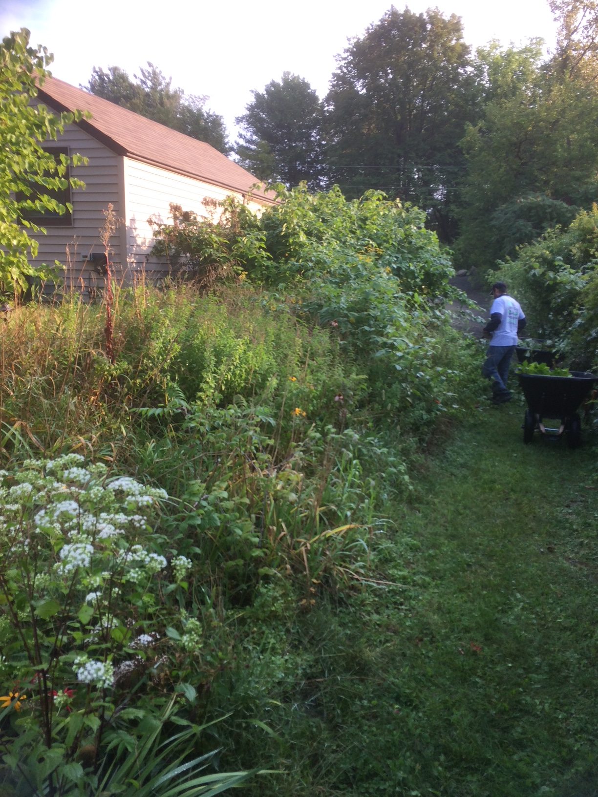 Landscaping project photo 67