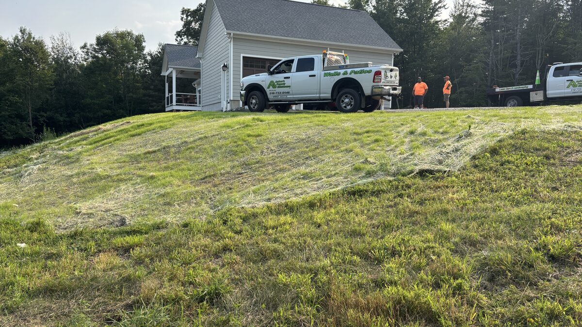 Lawn Installation project photo 02