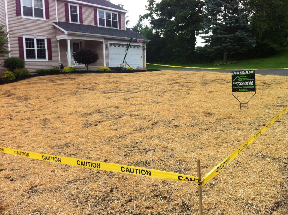 Lawn Installation project photo 04