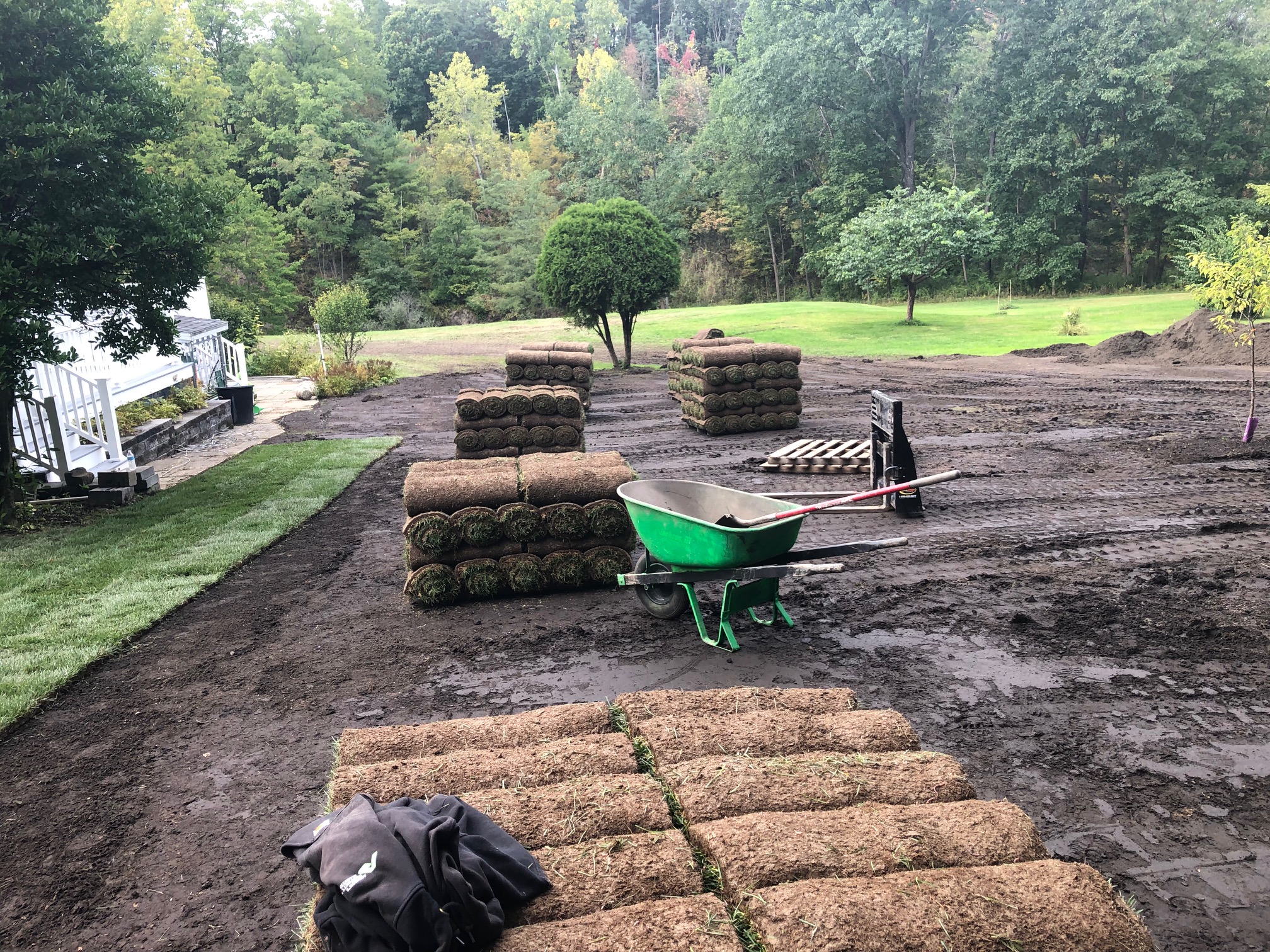 Lawn Installation project photo 07