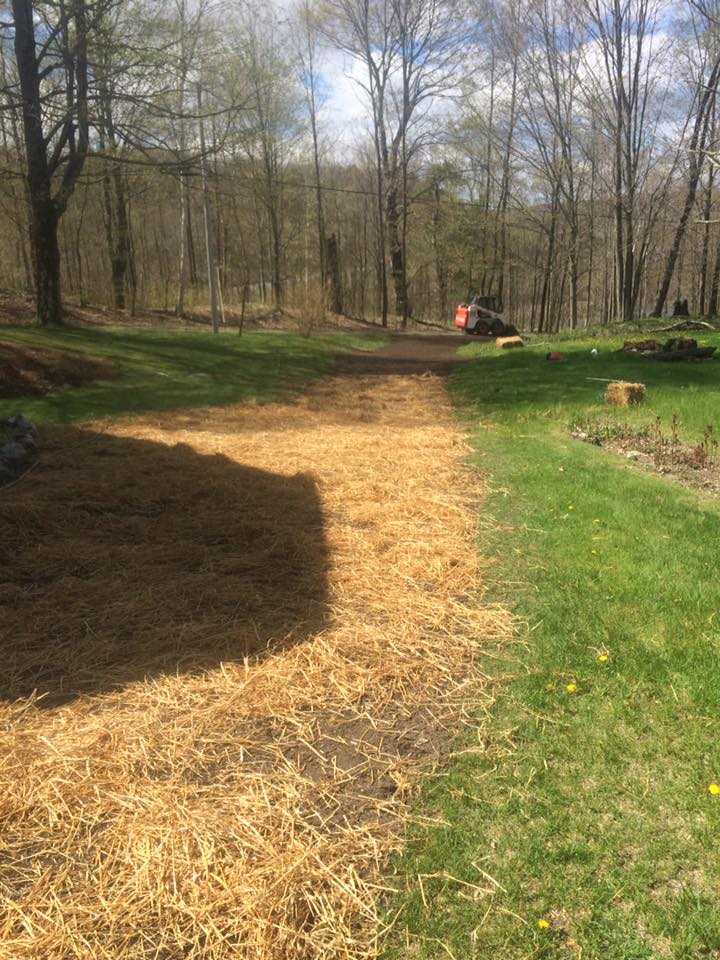 Lawn Installation project photo 17