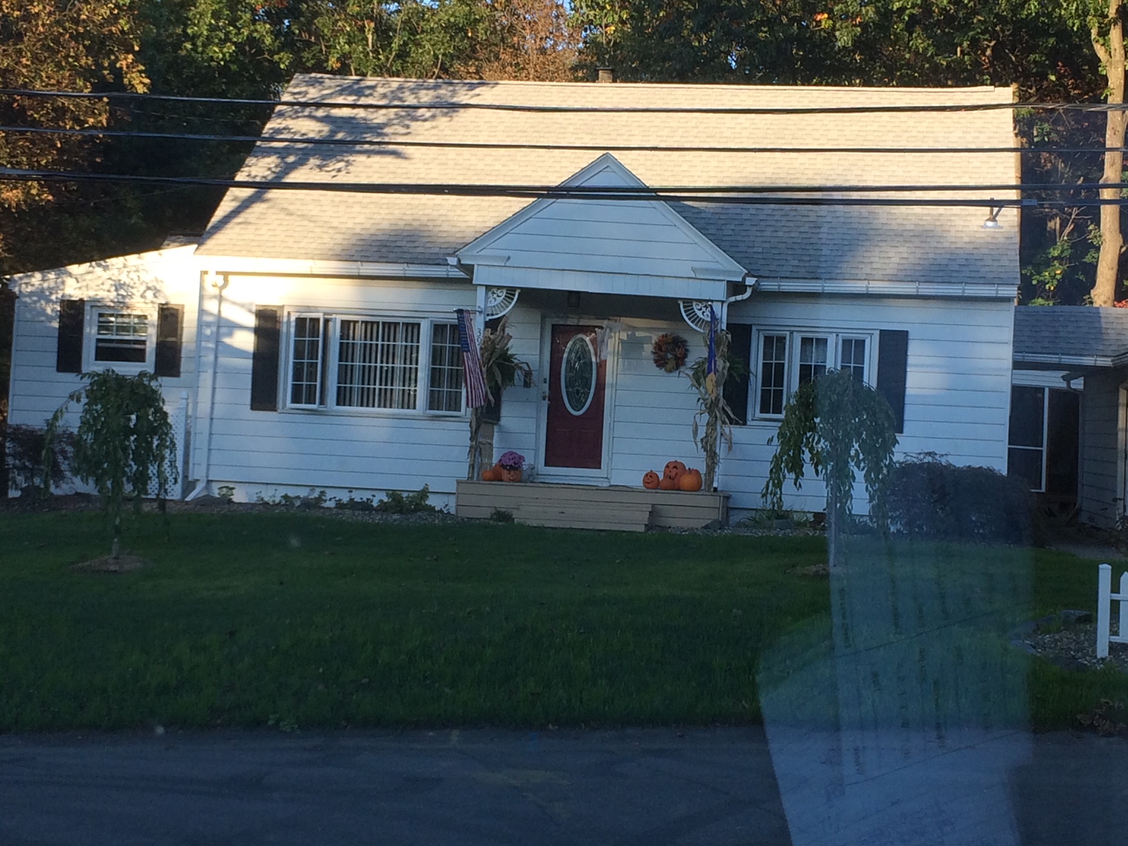 Lawn Installation project photo 20