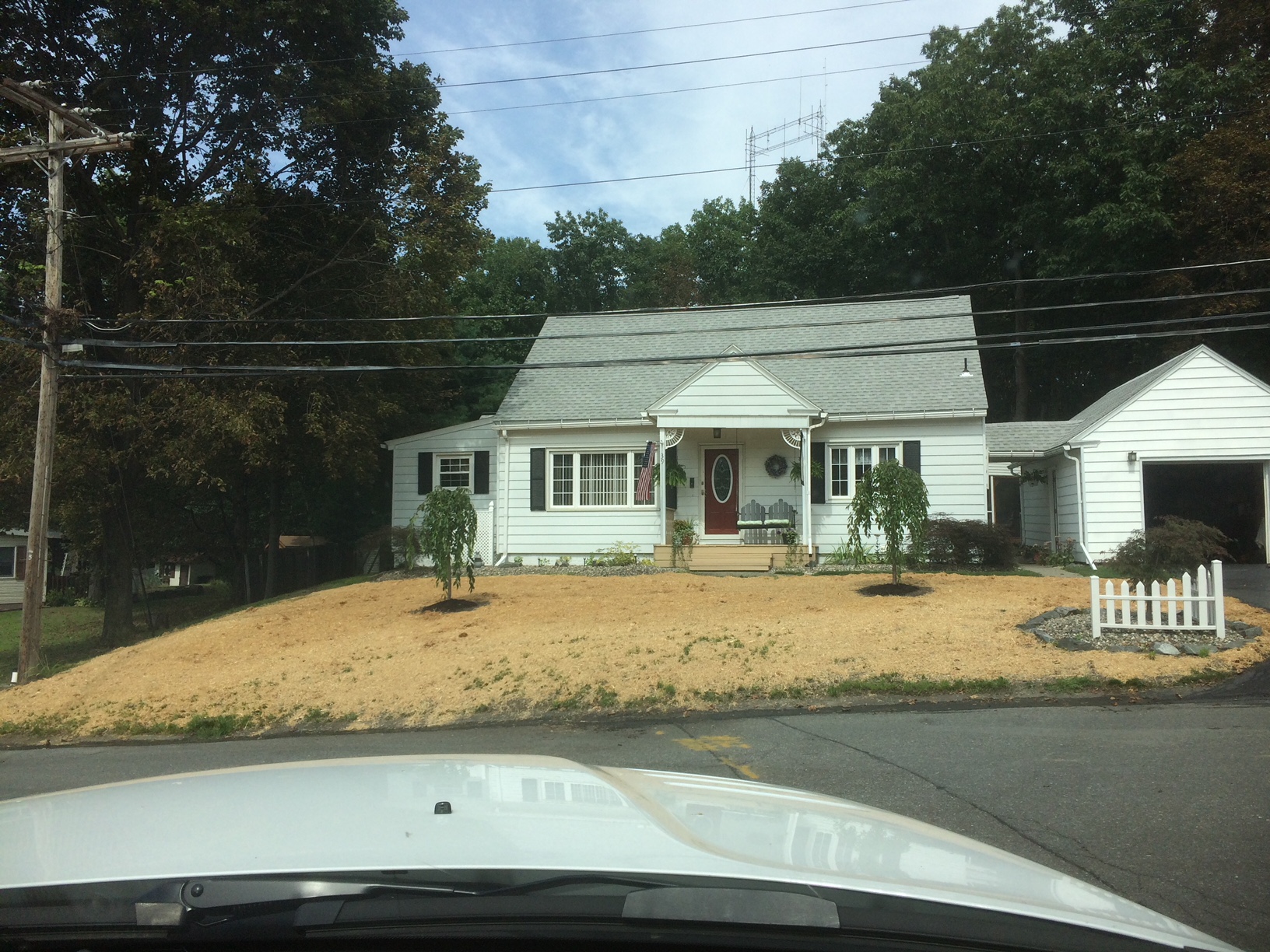 Lawn Installation project photo 22