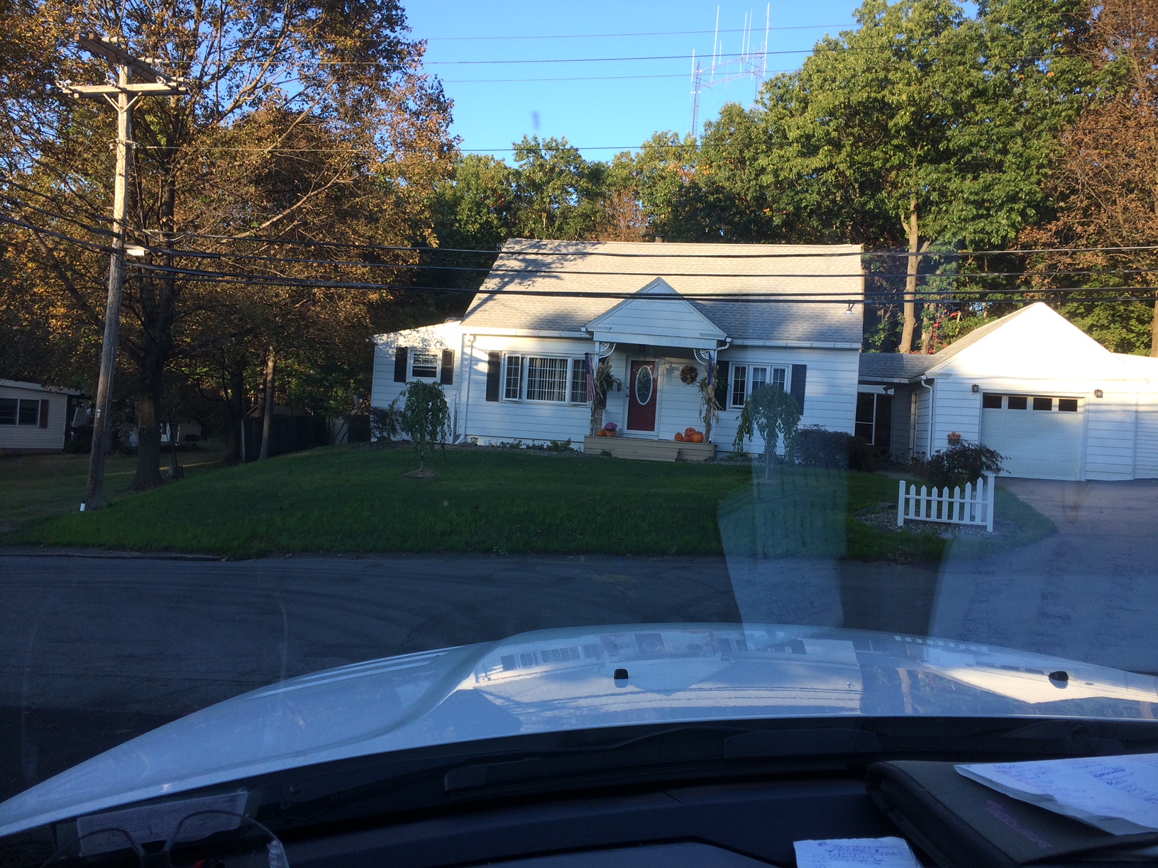 Lawn Installation project photo 23