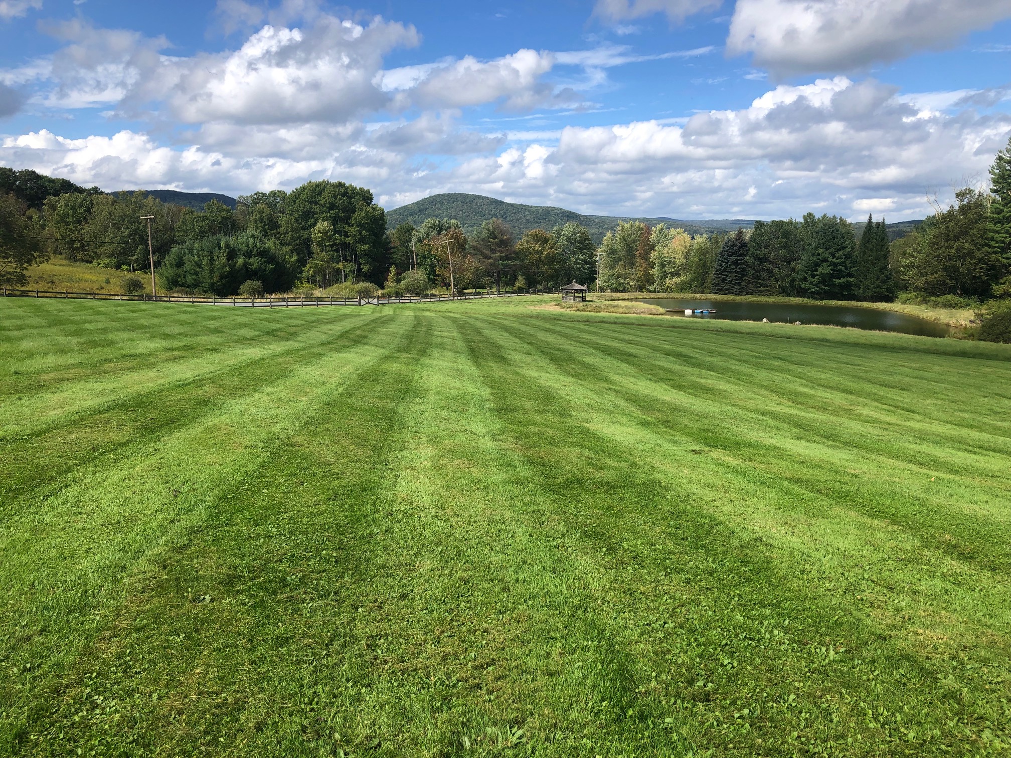 Lawn Care project photo 03