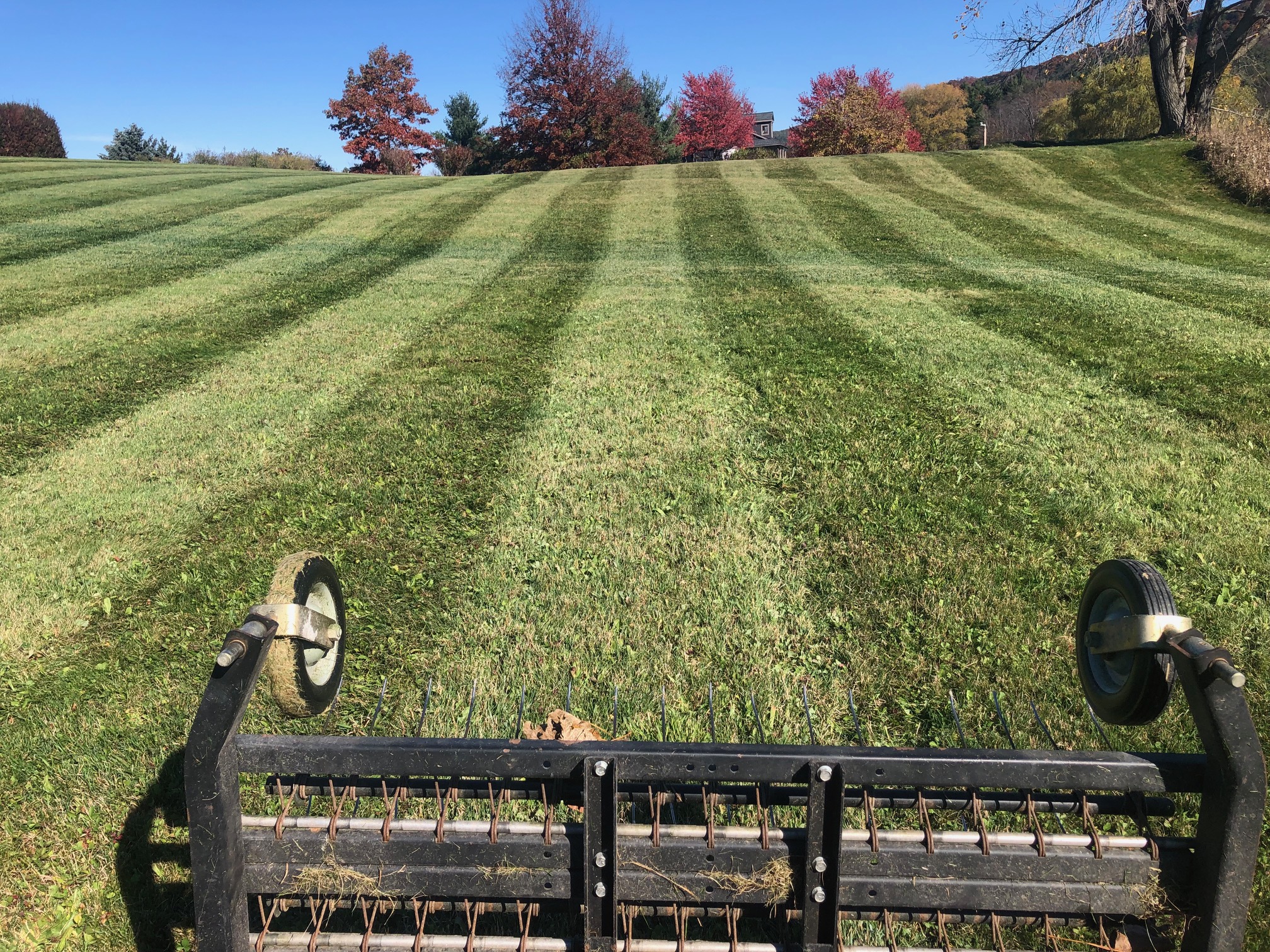 Lawn Care project photo 04