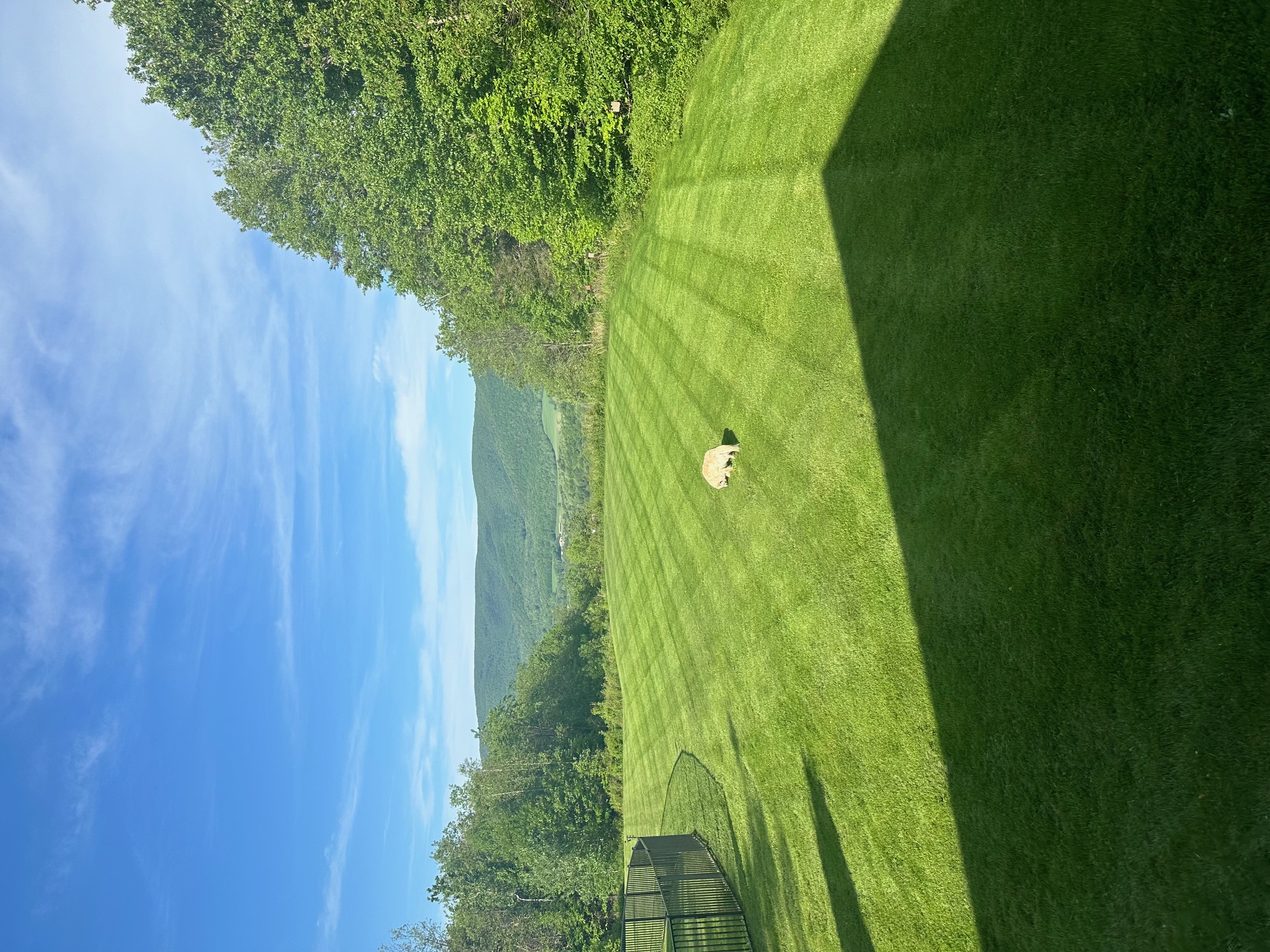 Lawn Care project photo 05