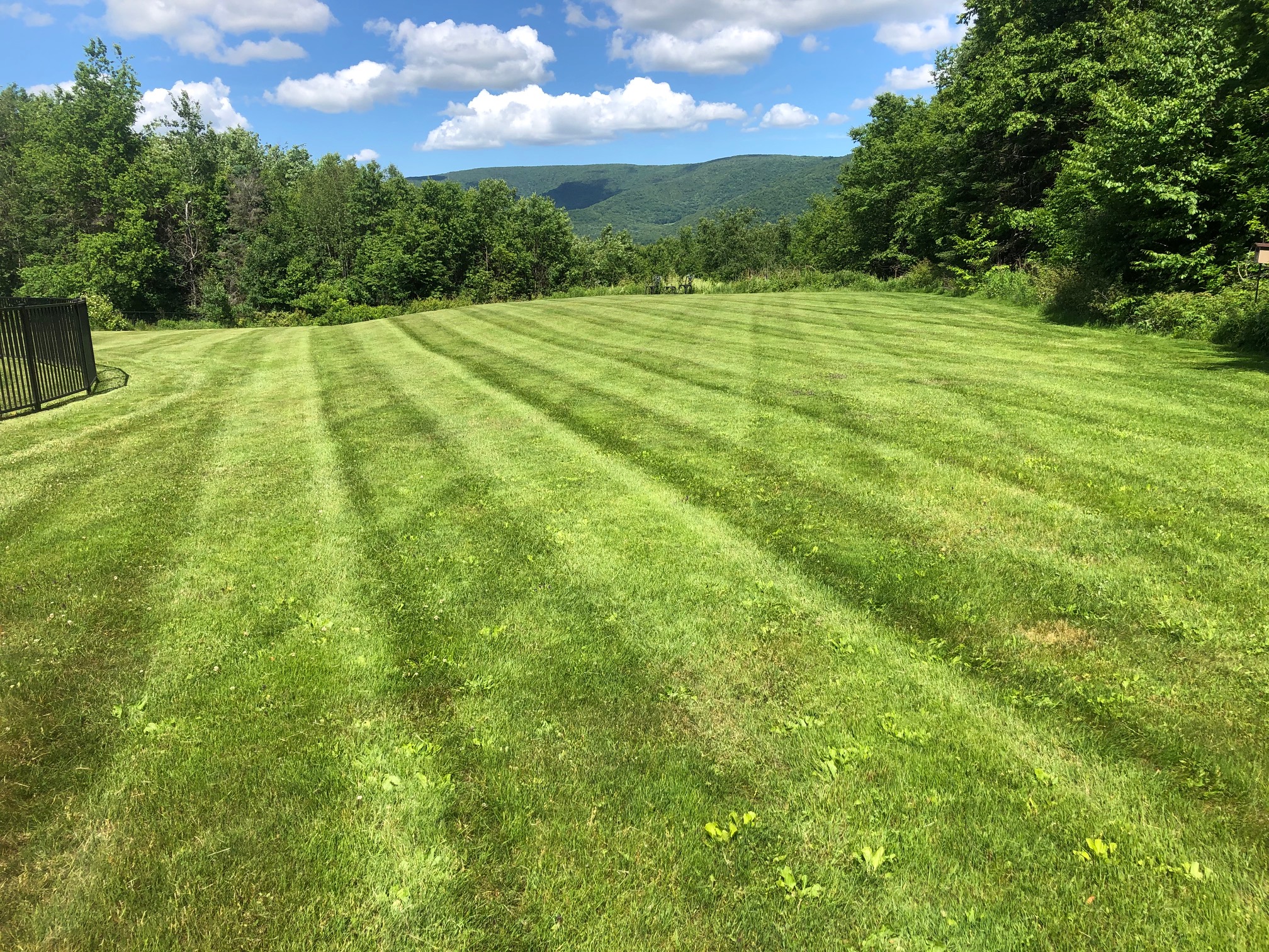 Lawn Care project photo 07