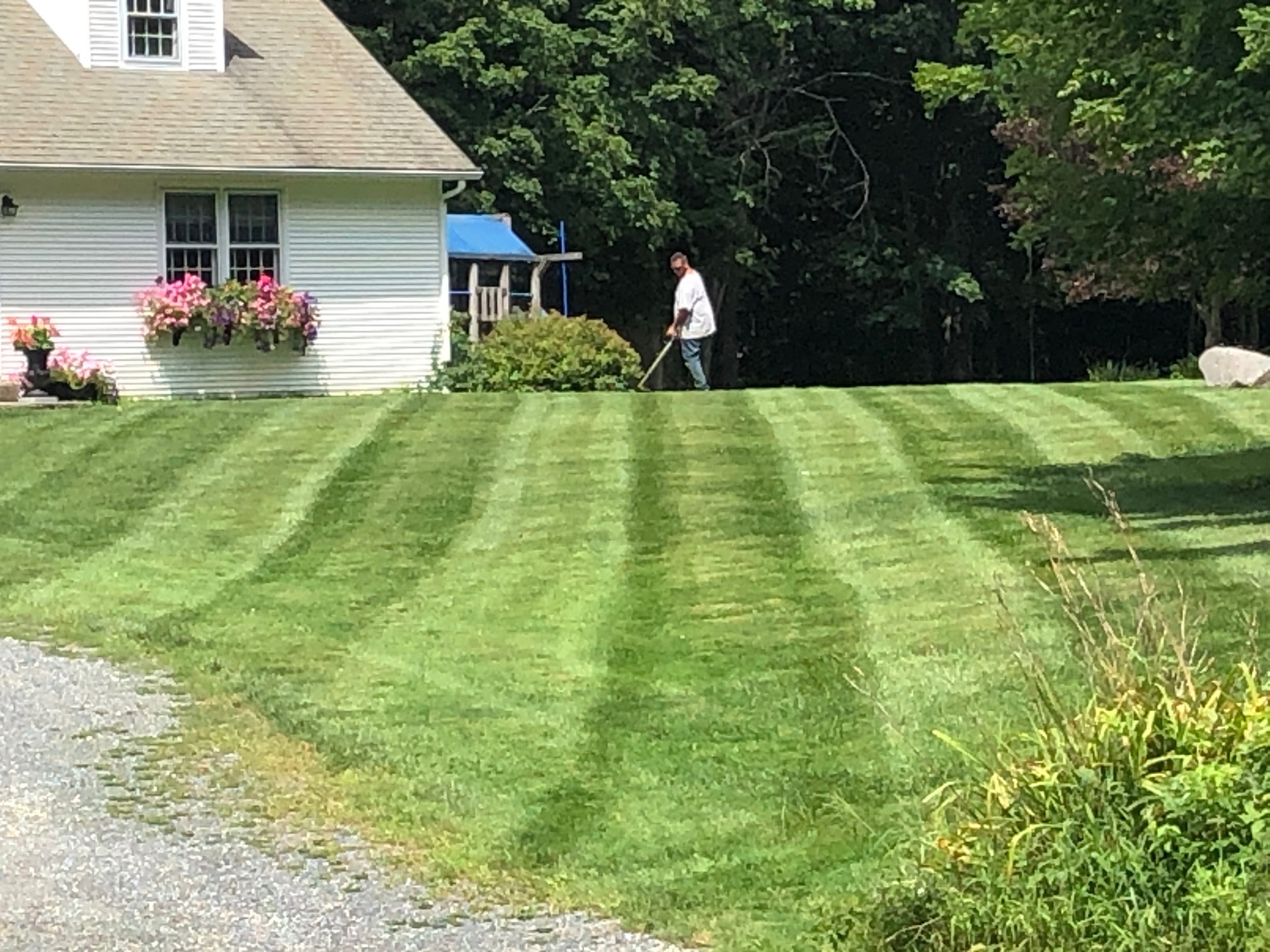 Lawn Care project photo 08