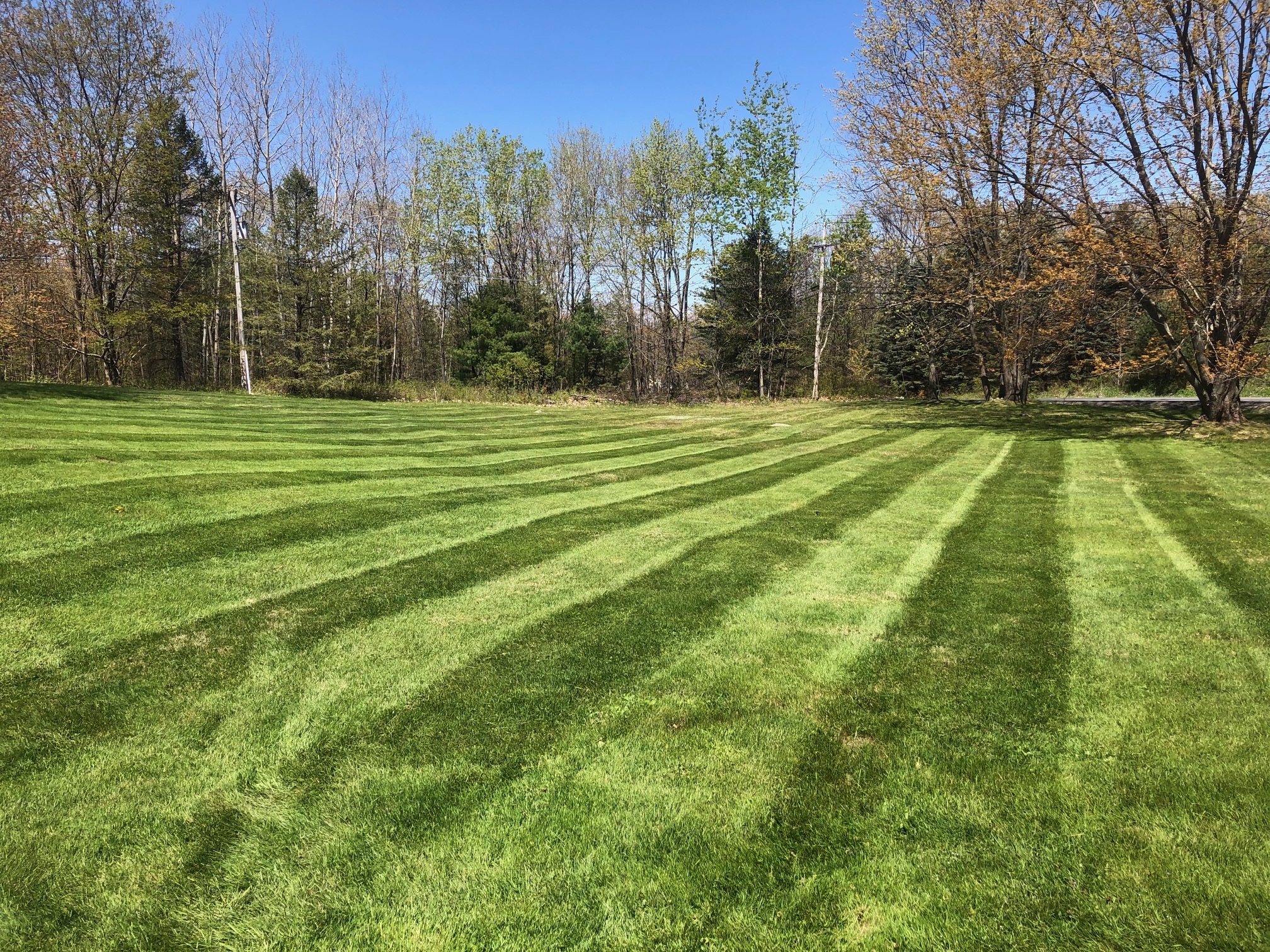 Lawn Care project photo 09