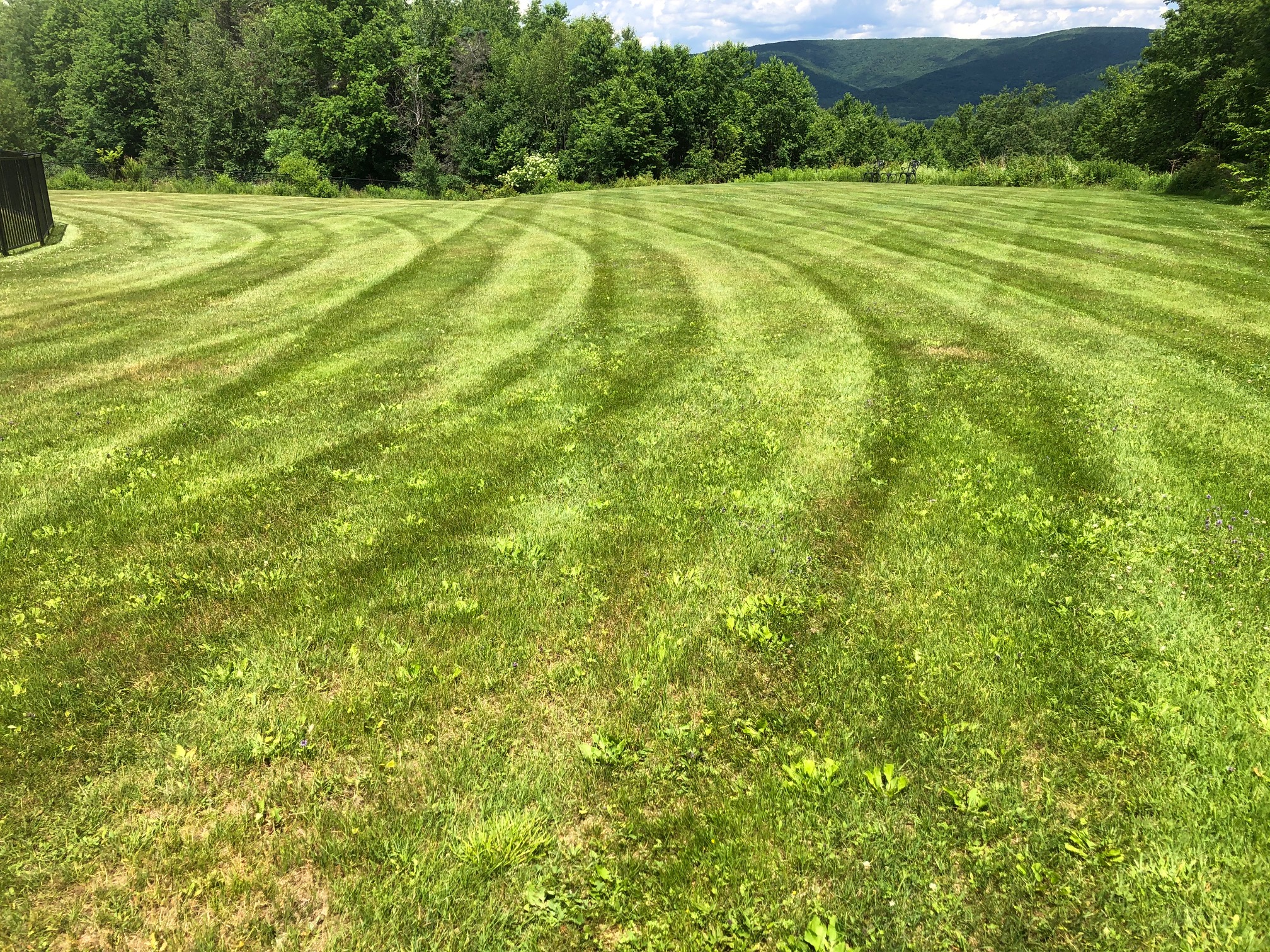 Lawn Care project photo 10