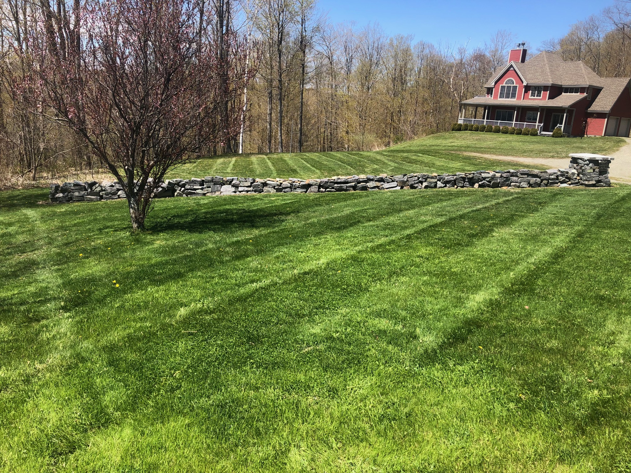 Lawn Care project photo 11