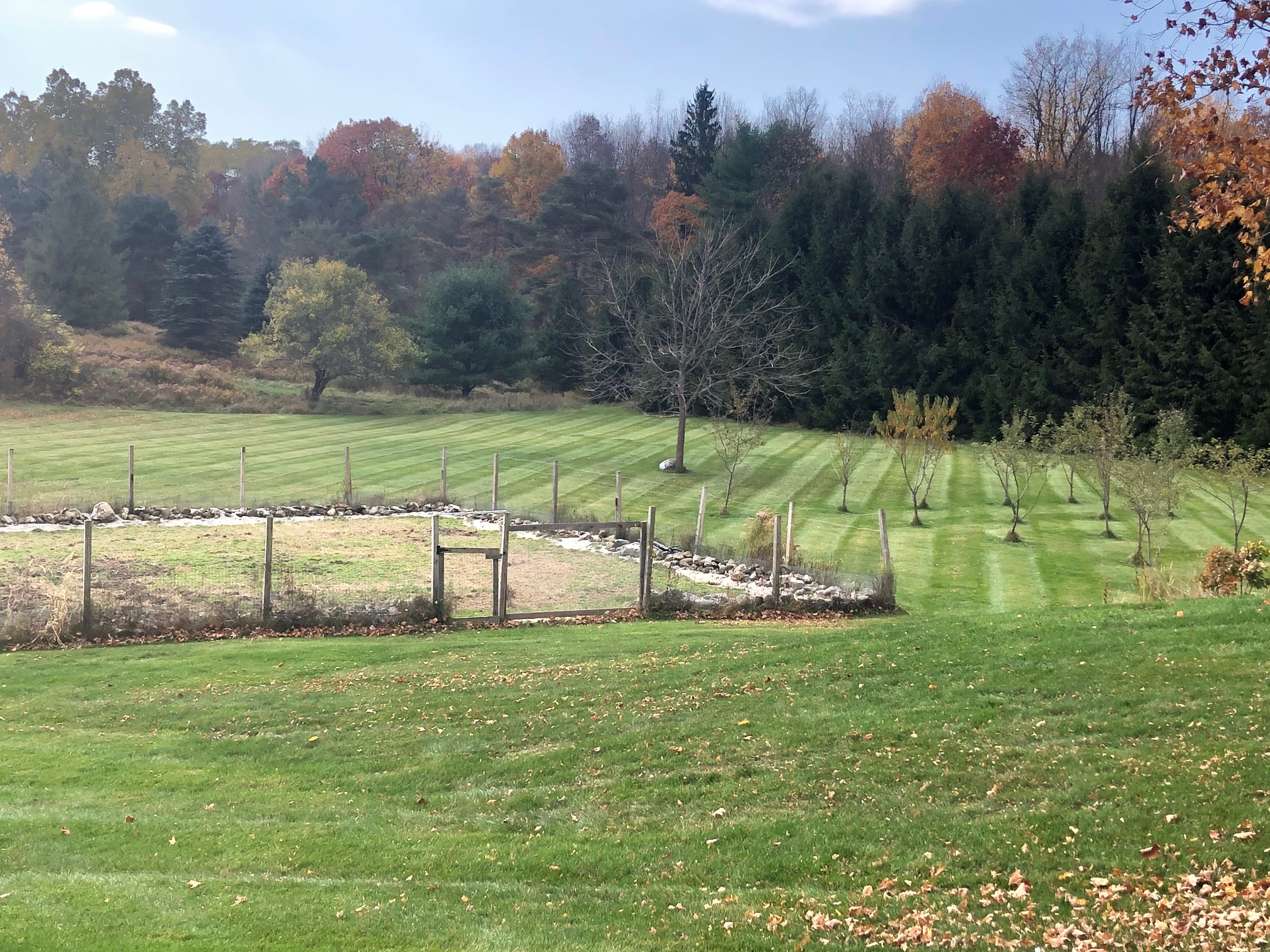 Lawn Care project photo 12