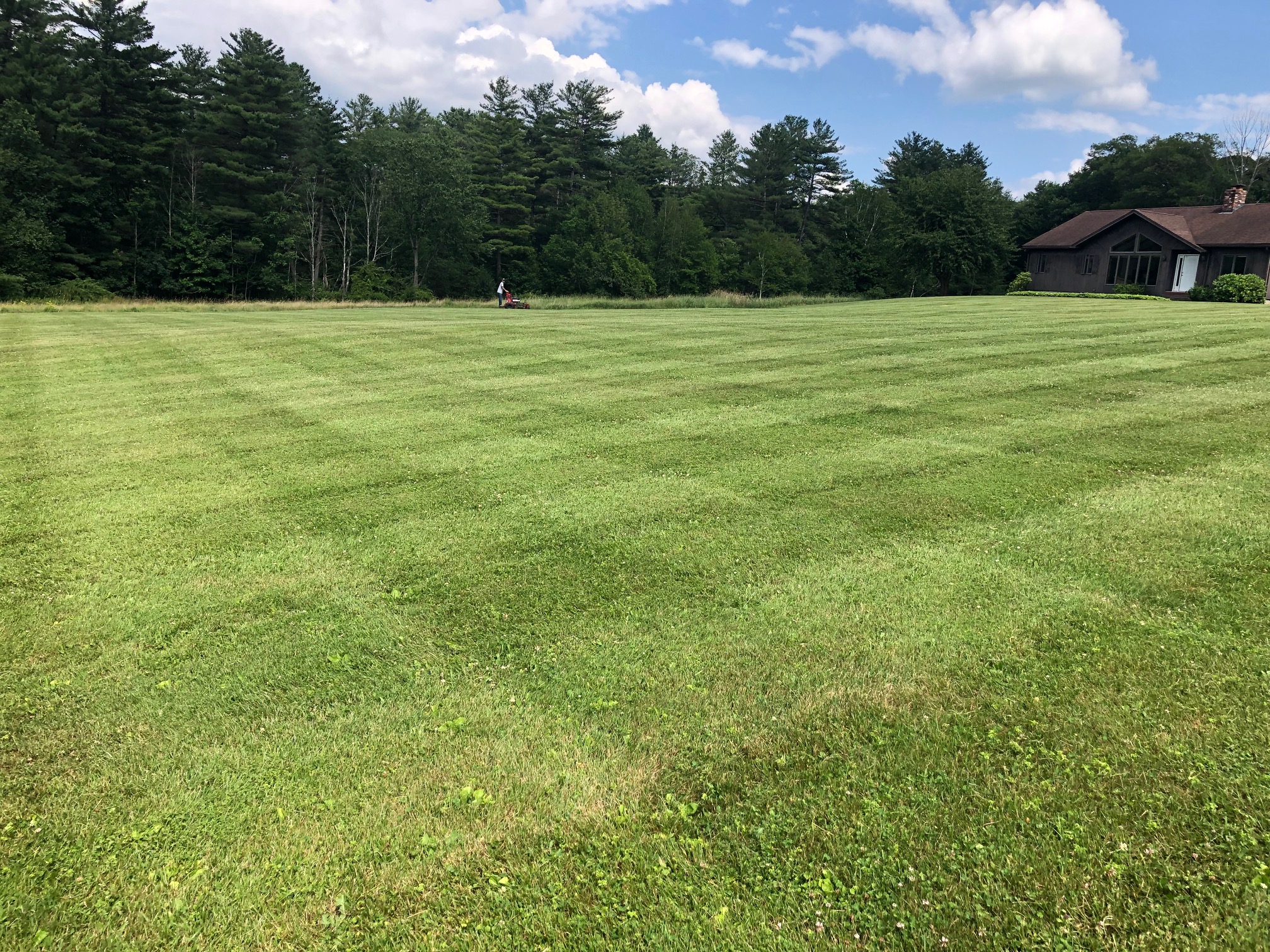 Lawn Care project photo 13