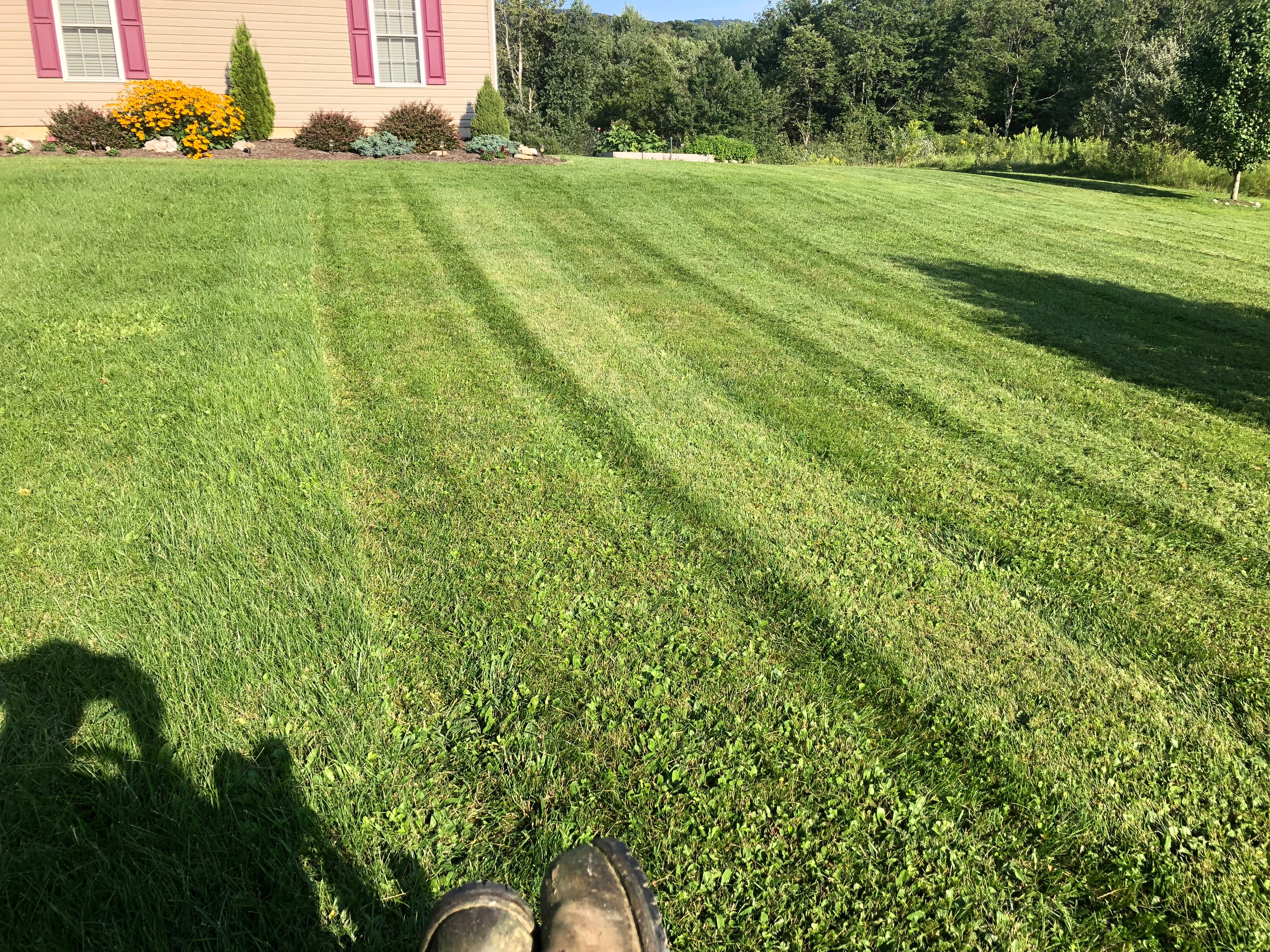 Lawn Care project photo 14