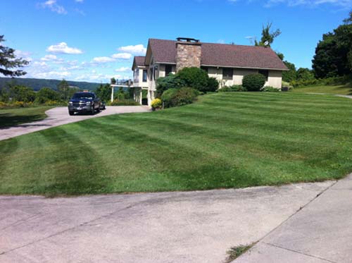 Lawn Care project photo 16