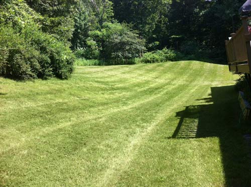 Lawn Care project photo 18