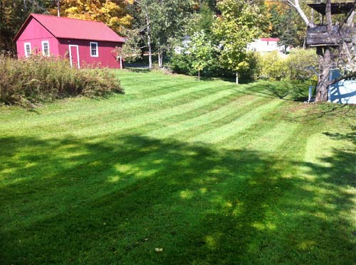 Lawn Care project photo 19