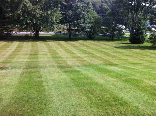 Lawn Care project photo 20