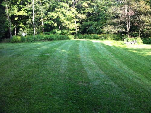 Lawn Care project photo 21