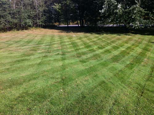 Lawn Care project photo 22