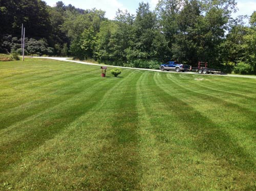 Lawn Care project photo 23