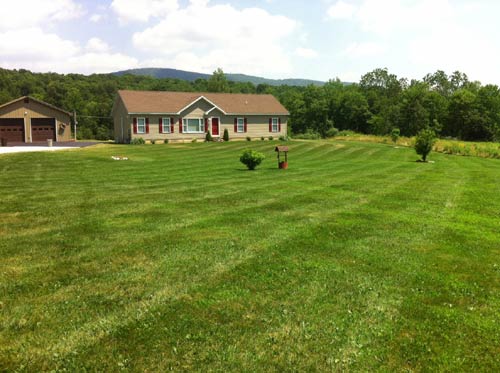 Lawn Care project photo 24