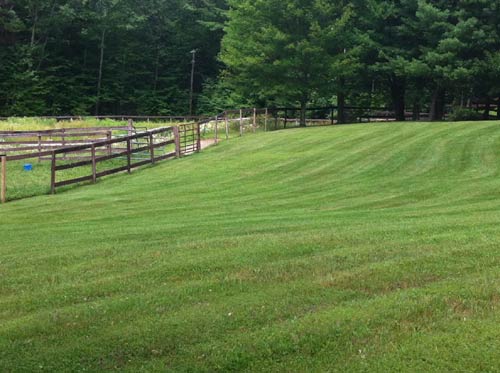 Lawn Care project photo 26