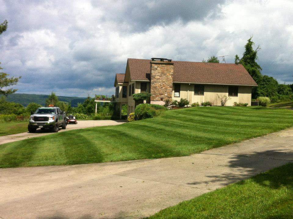 Lawn Care project photo 27