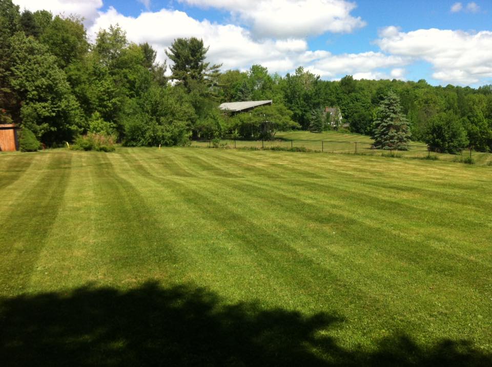 Lawn Care project photo 28